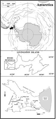 Bacterioplankton Community Composition Along Environmental Gradients in Lakes From Byers Peninsula (Maritime Antarctica) as Determined by Next-Generation Sequencing